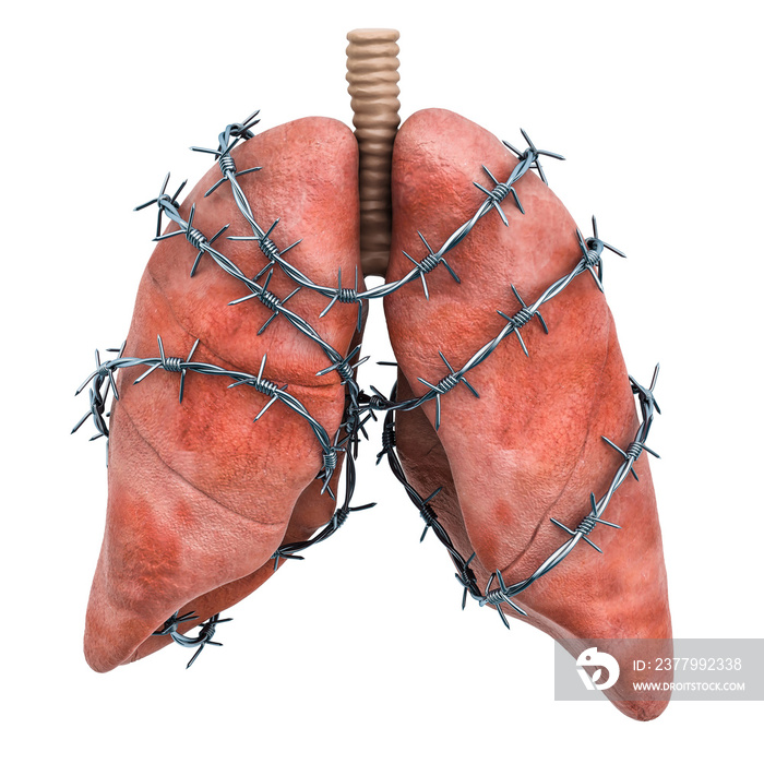 Lungs Pain concept. Human lungs with barbed wire. 3D rendering