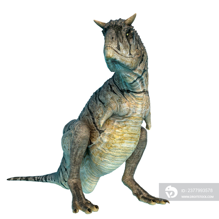 carnotaurus sastrei sitting in a white background