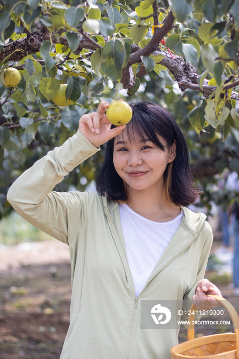 快乐的年轻女人在果园采摘