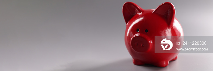 Closeup of red piggy banks for coins on gray background