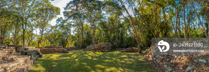 Panoramic in the temples under the trees in Copan Ruinas. Honduras