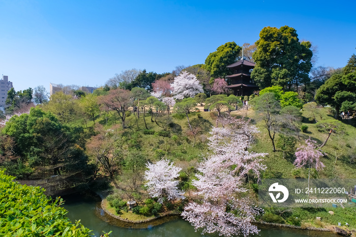 椿山荘 庭園