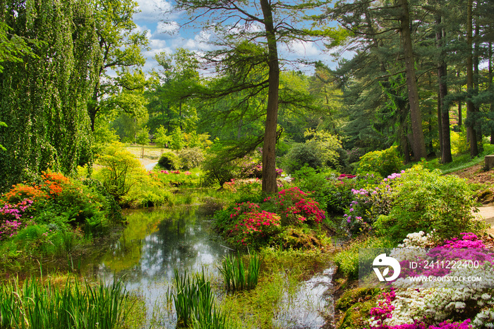 Rhododendronpark in Kromlau Rhododendron verschiedenen Farben und unterschiedlichen Sorten