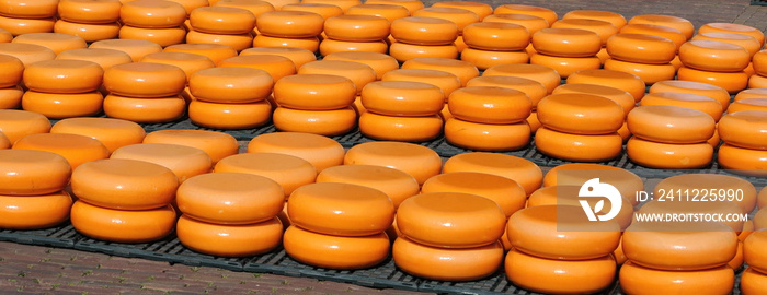 Cheese market in Alkmaar in the Netherlands