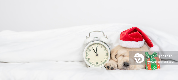 Funny Golden retriever puppy wearing red santa’s hat sleeps under warm blanket on a bed at home with alarm clock. Empty space for text