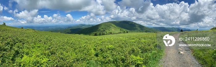 Hike - Roan Mountain, TN/NC