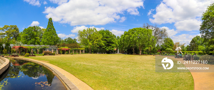 a gorgeous summer landscape in the garden with lush green trees, grass and plants, a still pond, colorful flowers with blue sky and clouds at Atlanta Botanical Garden in Atlanta Georgia USA