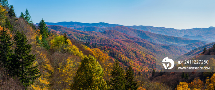 Autumn in the Great Smoky Mountains National Park