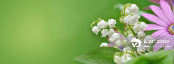 bouquet of freshness flowers with lily of the valley blooming on green background in panoramic view