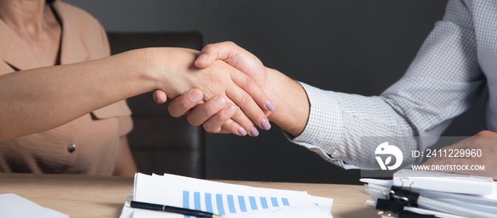 Business people shaking hands in office