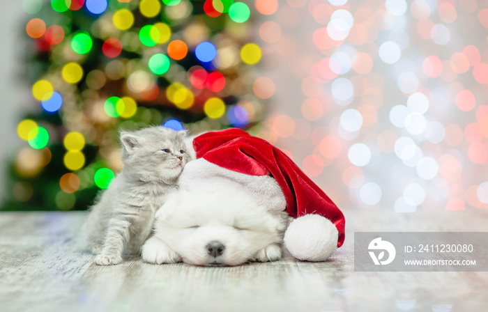 Kitten with sleepy white fluffy samoyed puppy in red santa hat  on a background of the Christmas tre