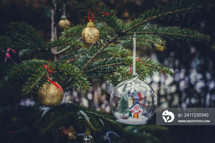 Transparent cristalball with christmas tree and house inside.