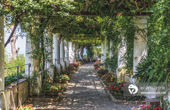 Beautiful floral passage with columns and plants overhead in garden in Anacapri, capri island, Italy