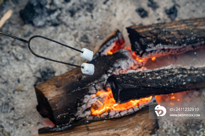 Two marshmallows roasting over a campfire, making smores