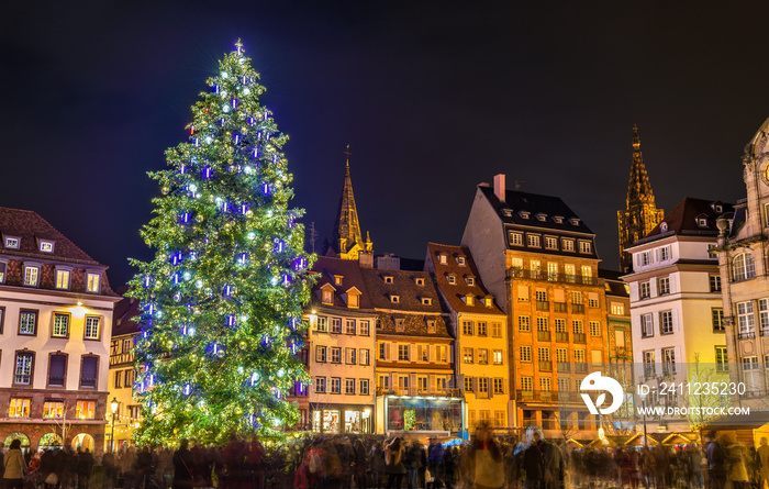 Christmas tree at the famous Market in Strasbourg, France