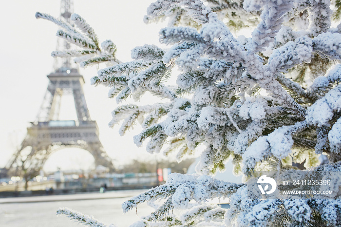 Christmas tree covered with snow near Eiffel tower