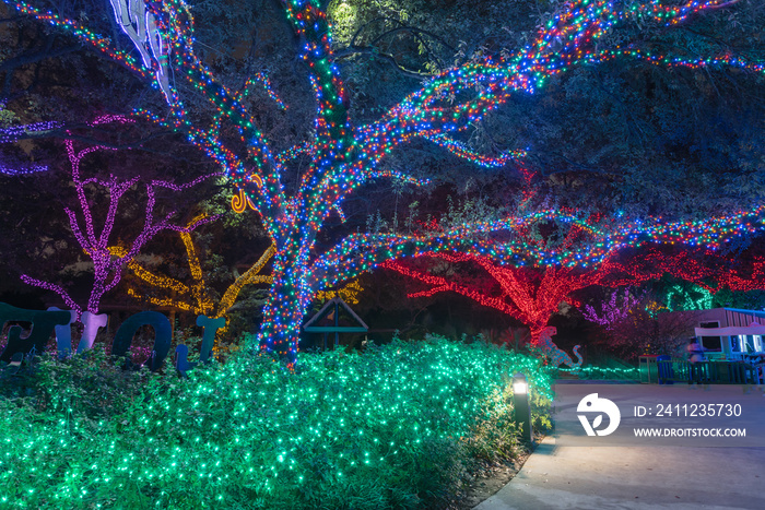 Christmas and New Year celebration lighting in Houston, Texas, USA. Xmas background.