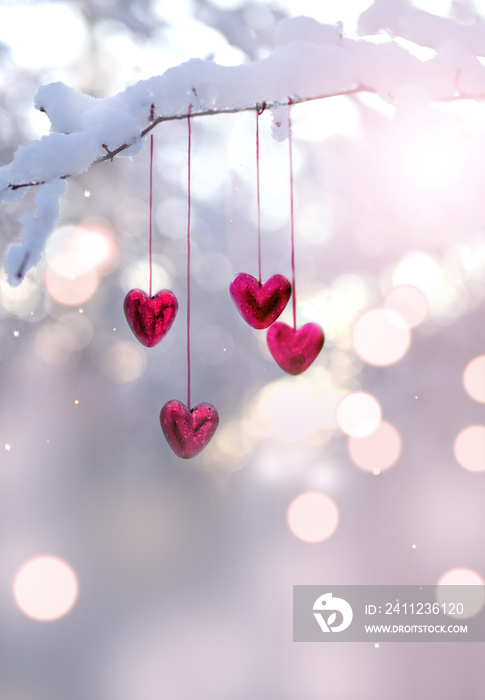 Red hearts on snowy tree branch in winter. Holidays happy valentines day. Love concept.