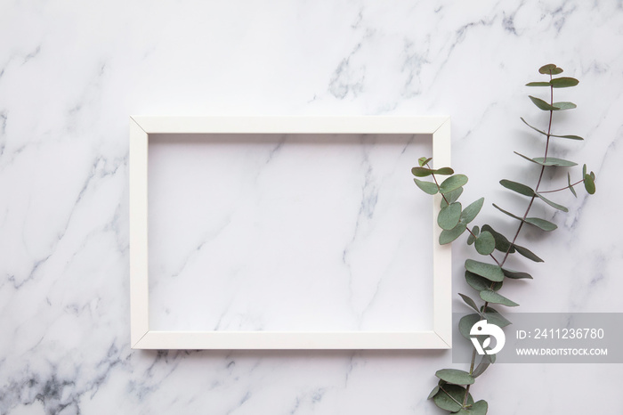 Blank white frame with eucalyptus leaves lay flat composition