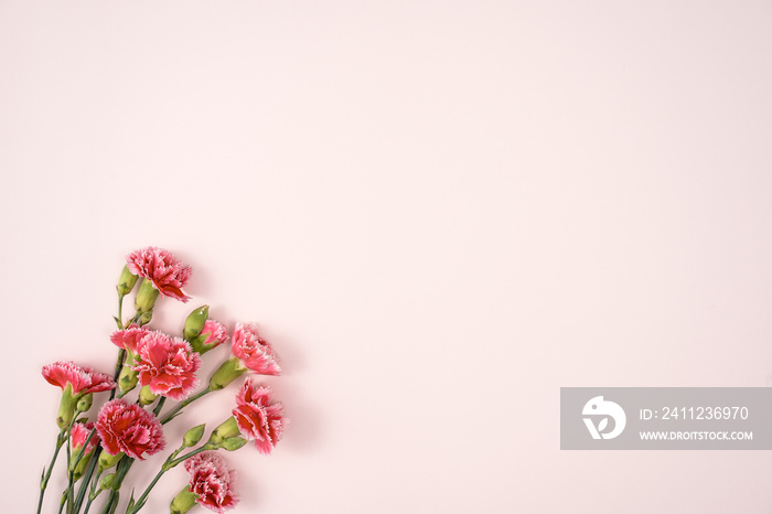 Design concept of Mothers day holiday greeting with carnation bouquet on pink table background