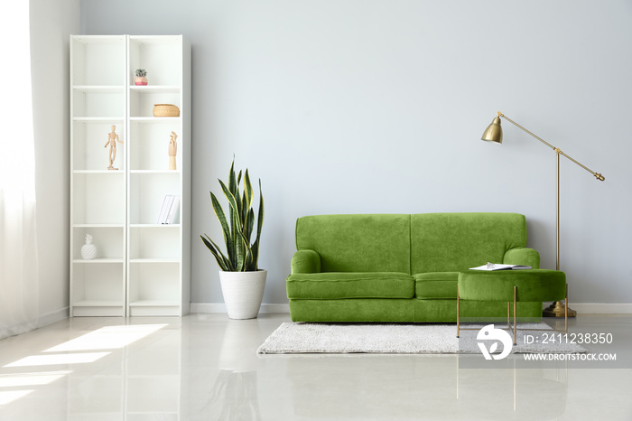 Interior of light living room with green sofa, shelving unit and houseplant