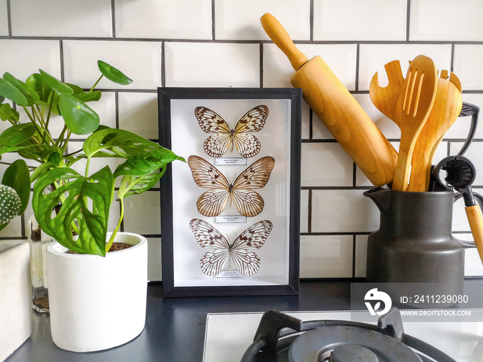 Frames butterflies taxidermy display in a black and white subway tiled kitchen with numerous plants 