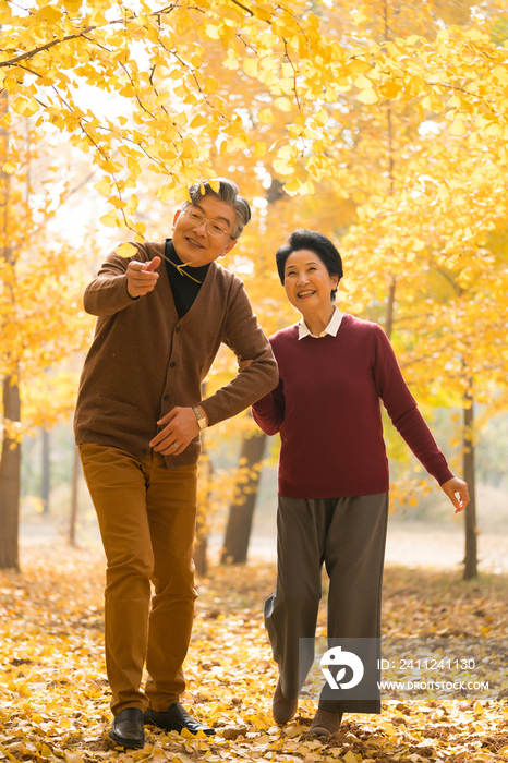 在银杏林散步的老年夫妻