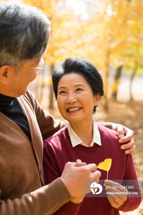 在银杏林散步的老年夫妻