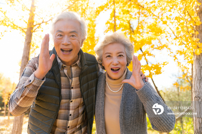 甜蜜的老年夫妻