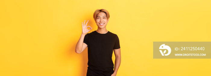 Portrait of satisfied and happy asian smiling guy, showing okay gesture in approval, praising good work, yellow background