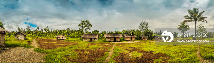 Village houses in Dekai