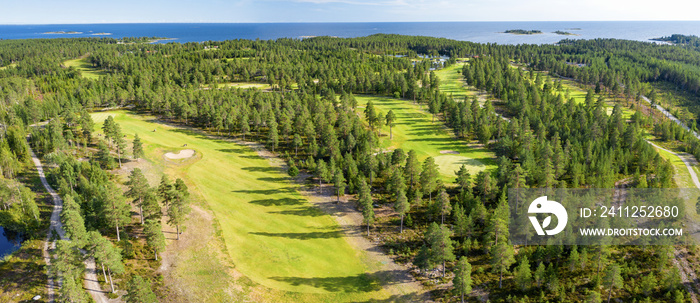 Aerial panorama on few narrow long golf courses in Northern forest. Unidentified golfers play golf on Golf course, pine trees around, Baltic Sea on horizon, forest, Northern Scandinavia.