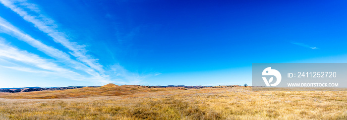 Panorama of Custar State Park, South Dakota