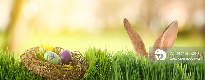 Beautiful greeting card with Easter eggs and cute bunny hiding in garden