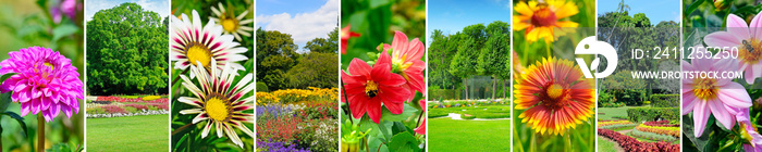 Gardens with beautiful flowers and lawns. Panoramic collage. Wide photo.