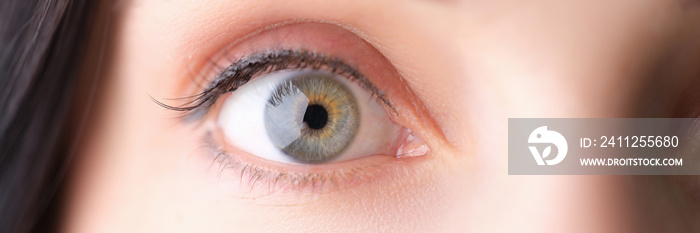 Woman wide-open eye with gray-green pupil closeup