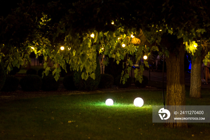illumination backyard light garden with electric ground lantern with round diffuser lamp and garland of light bulbs on tree branches with leaves, landscaping with illuminate night scene, nobody.