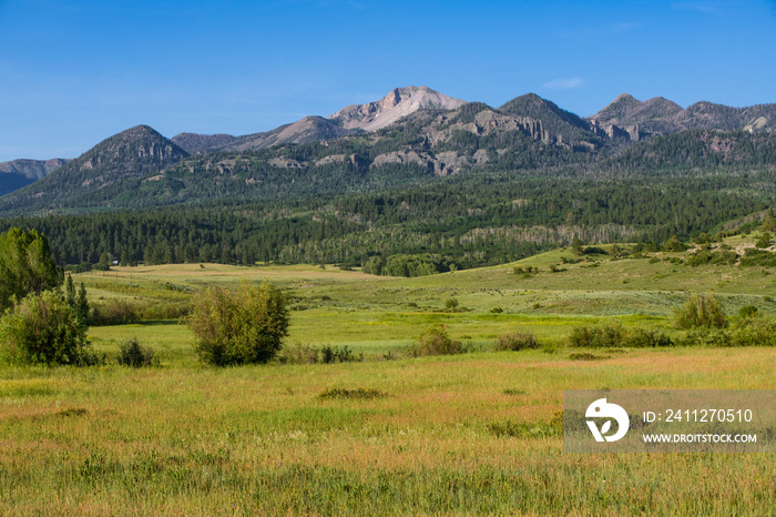 The Rocky Mountains rise above a landscape of green grassy fields and meadows on a ranch near Pagosa Springs, Colorado