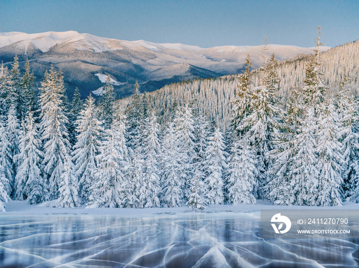 Blue ice and cracks on the surface of the ice. Frozen lake under a blue sky in the winter. The hills of pines. Winter. Carpathian, Ukraine, Europe