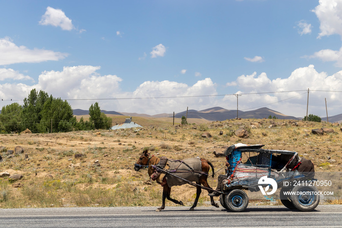 horse and carriage