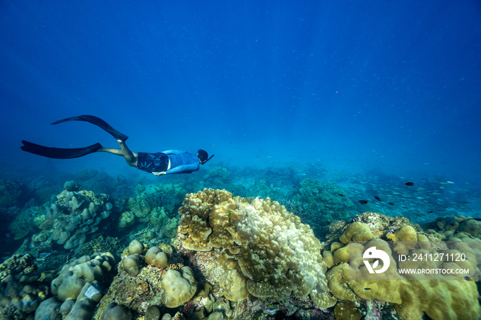 swimming freediving to coral reefs,Surin Island in Phangnga, Thailand.