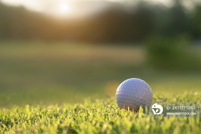 golf ball is on a green lawn in a beautiful golf course