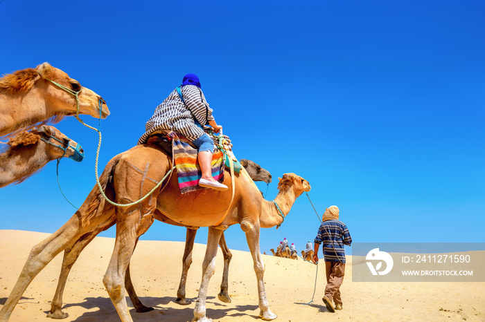 Safari tourism on camels. Sahara desert, Tunisia, North Africa