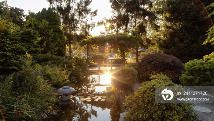 Japanese Garden in Esquimalt Gorge Park, Victoria, Vancouver Island, British Columbia, Canada. Sunny Summer Sunset.