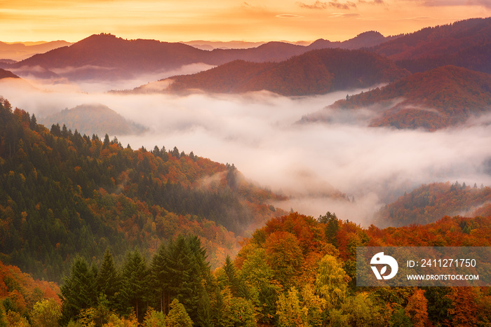 Misty mountain landscape