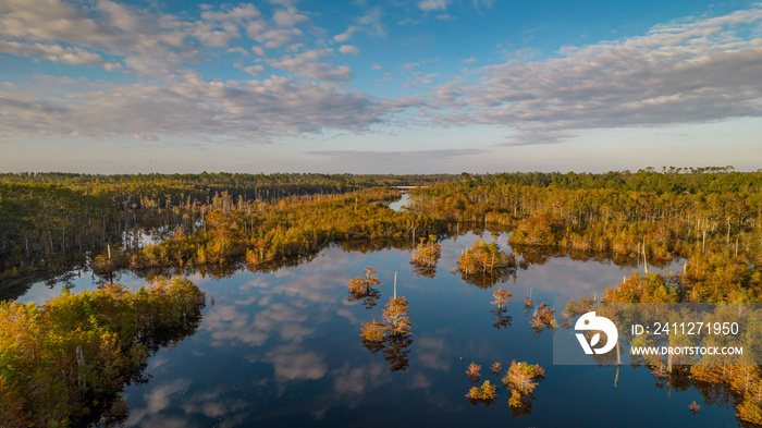 Aerial landscape of Dead Lakes in the fall