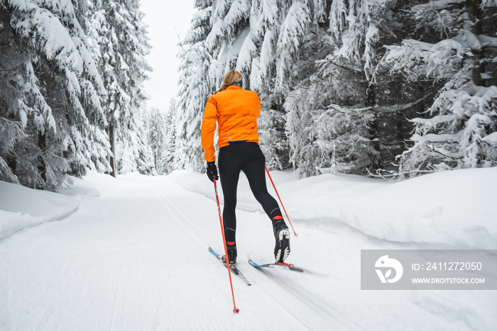 Langläufer von hinten mit orangener Jacke auf der Loipe im Winter