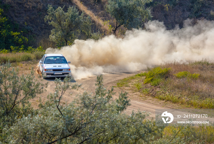 Sports Car on the Turn of the Rally Track and a Lot of Dust 08