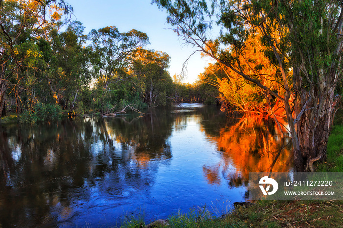 Murrumbidgee river sunlight