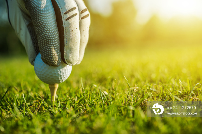 Golf Player Placing a Ball on a Tee